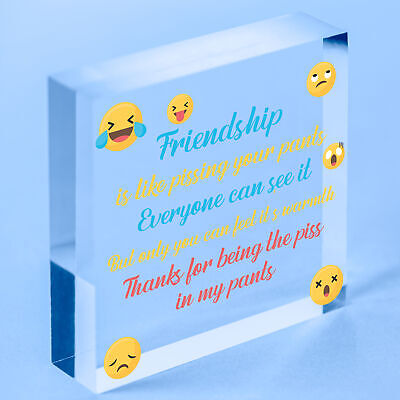 Best Friend Gifts Funny Acrylic Heart Friendship Gift Best Friend Birthday Xmas