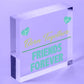 Born Together Friends Forever Twin Keepsake Gift Hanging Plaque Family Sign Baby