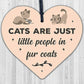 Cats Fur Coats Wood Heart Sign Cute FUNNY GIFT Idea Animal Lover Hanging Plaque