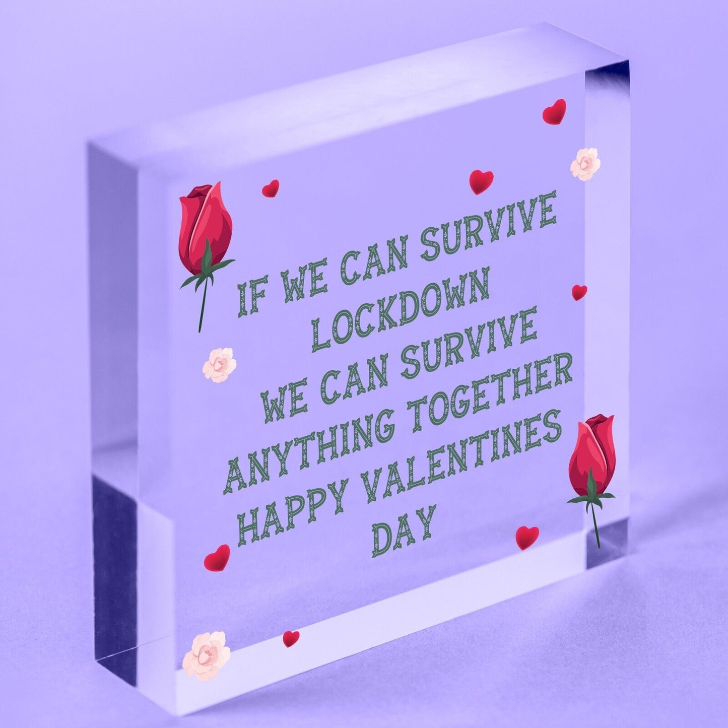 Funny Valentines Day Gift For Boyfriend Girlfriend Novelty Gifts For Him or Her