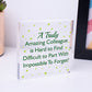 Amazing Colleague Gift Leaving New Job Gift Goodbye Friendship Plaque Keepsake