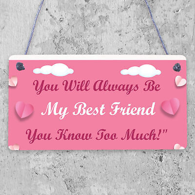 Best Friend You Know Too Much Novelty Wooden Hanging Plaque Friendship Sign Gift