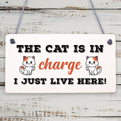 Cat Sign Funny Cat Gift For Cat Lovers Hanging Wood Sign For Home Animal Sign