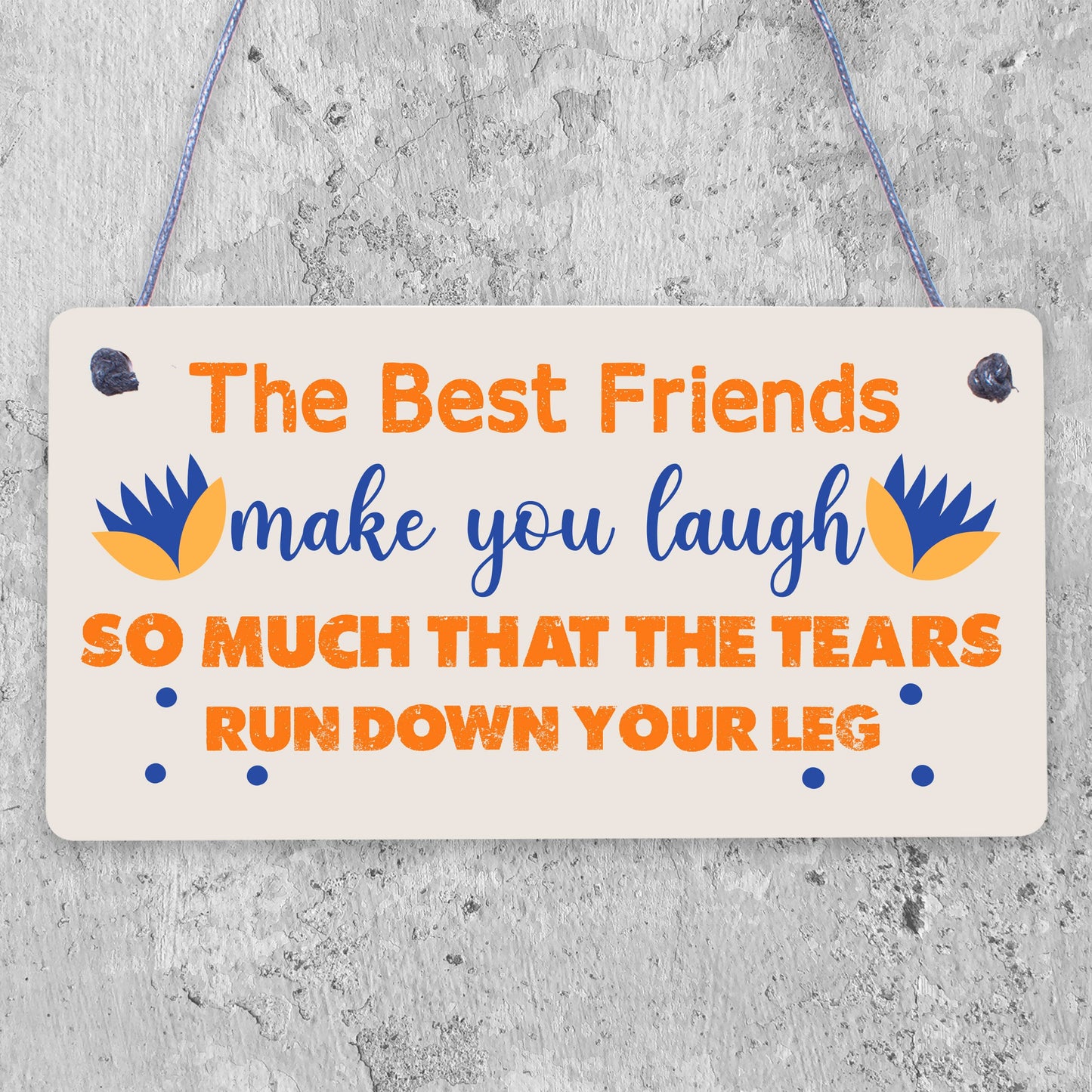 Best Friend Birthday Gift THANK YOU Hanging Plaque Friendship Christmas Keepsake