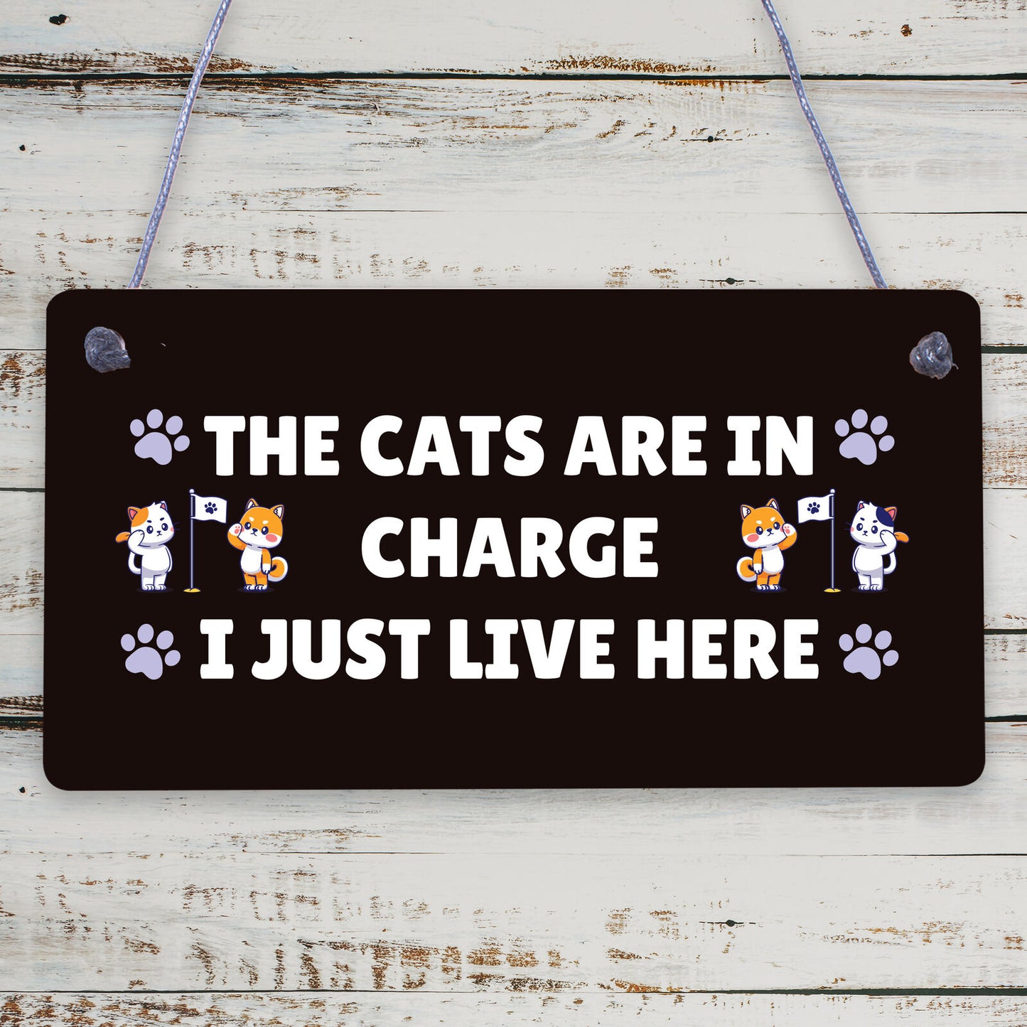 Funny Cat Sign Welcome Sign Cat Lovers Gift For Women Home Decor Animal Sign