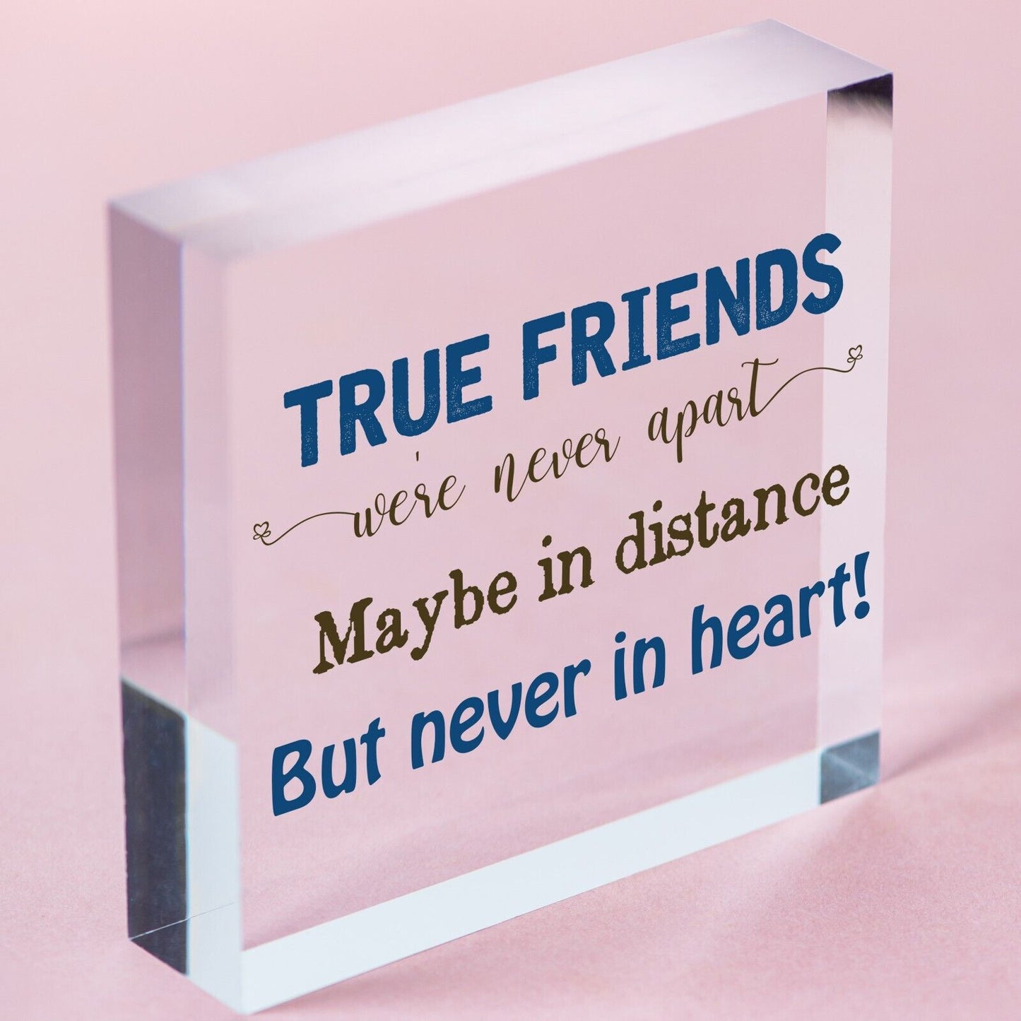 Birthday Friendship Best Friend Gift Acrylic Plaque Thank You Sign Keepsake