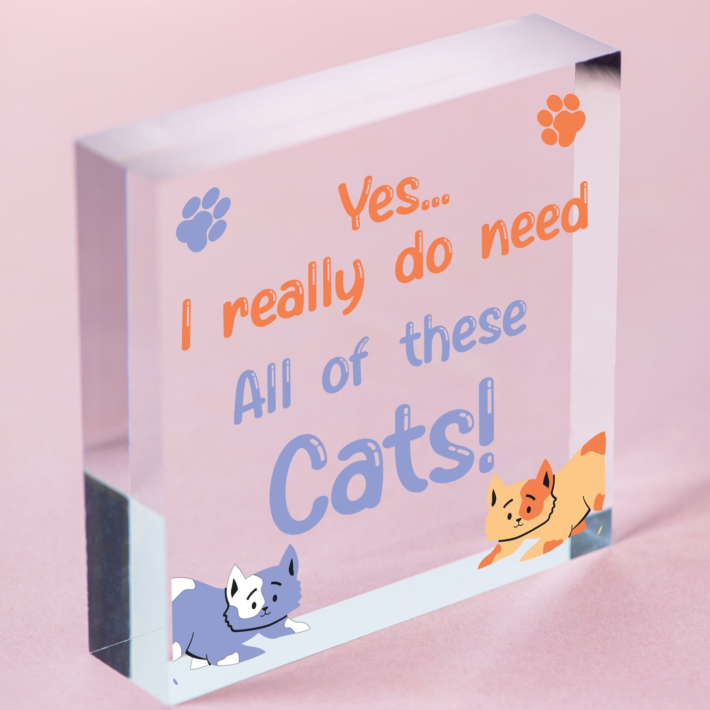 Funny Novelty Cat Sign Plaque Christmas Pet Gift For Cat Lover Mum Nan Sister