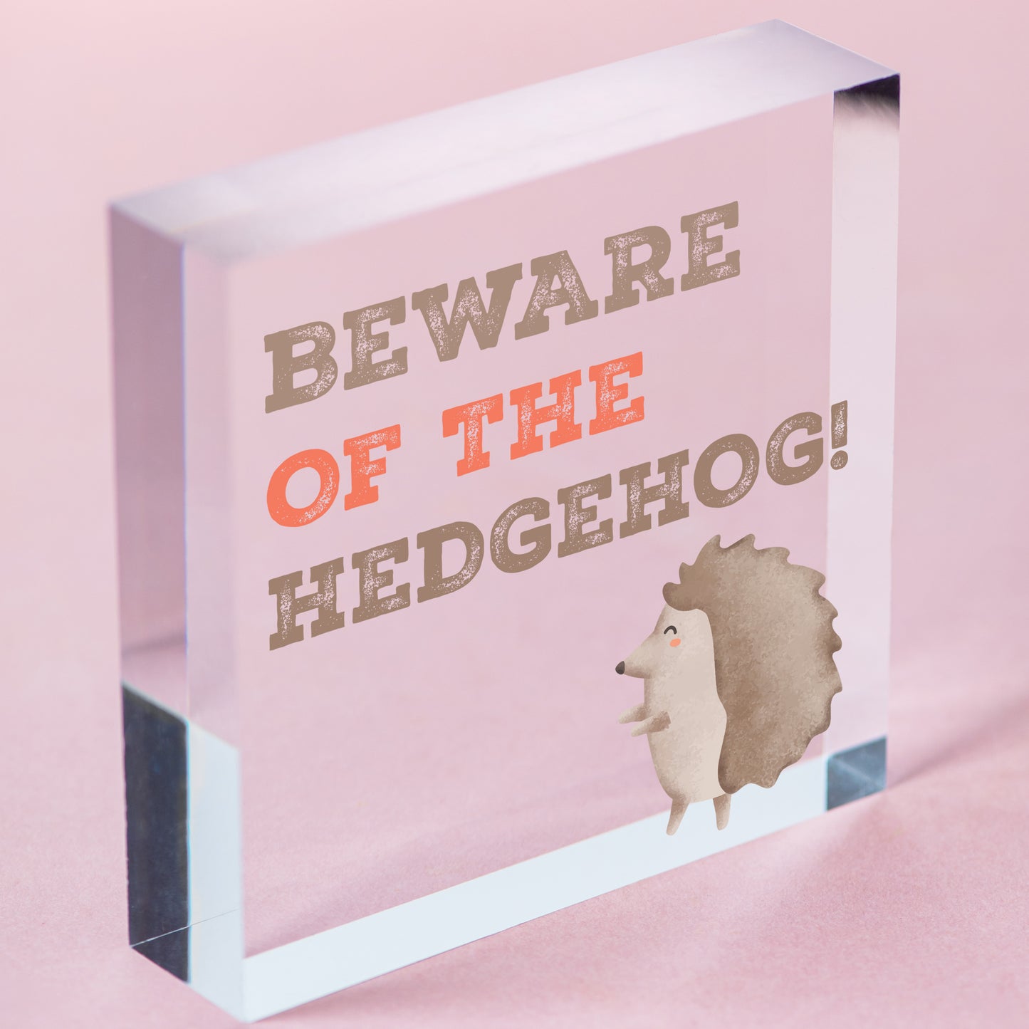 BEWARE OF THE HEDGEHOG Funny Garden Sign Hedgehog Sign Family Gift Home Decor