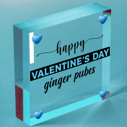 Funny Rude Valentines Day hanging plaque For Boyfriend Husband Joke Humour hanging plaque For Him Free-Standing Block