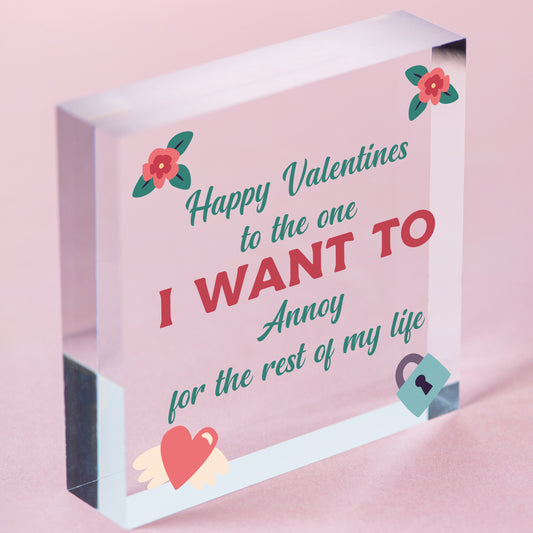 Quirky Valentines Day hanging plaque For Him Her Funny Husband Wife Boyfriend hanging plaque Free-Standing Block