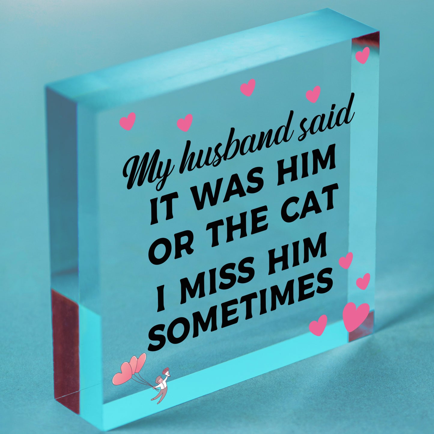 Him Or The Cat Handmade Funny Anniversary Wooden Plaques Birthday Friend Gifts Free-Standing Block