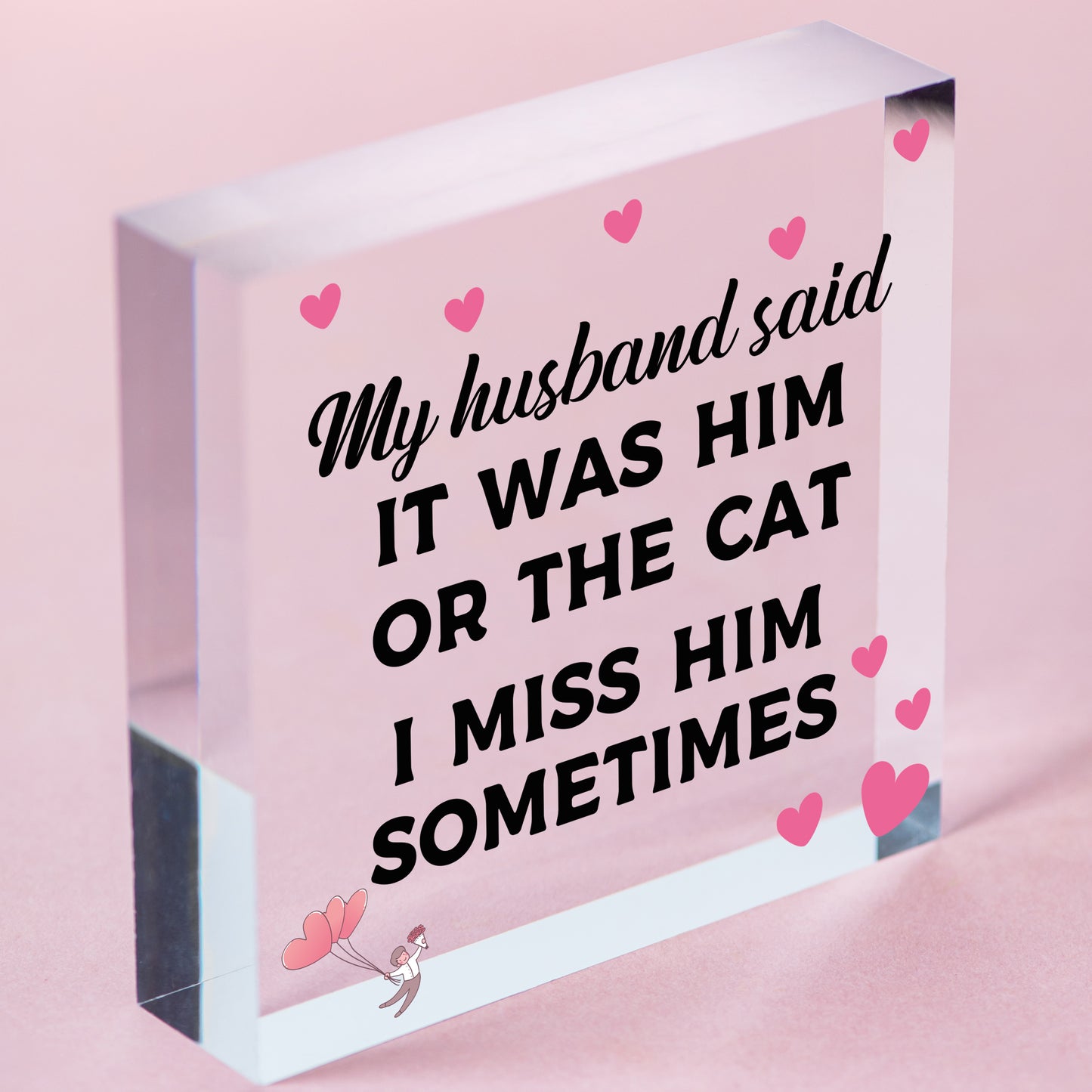 Him Or The Cat Handmade Funny Anniversary Wooden Plaques Birthday Friend Gifts Free-Standing Block