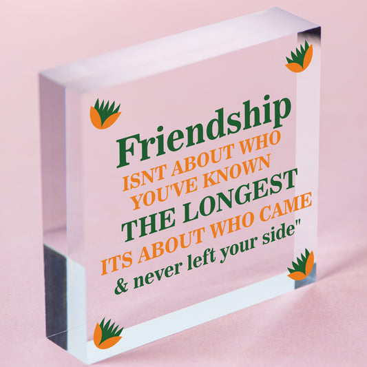 FRIENDSHIP Keepsake Plaque Hanging Sign Gift For Best Friend Birthday Christmas Free-Standing Block