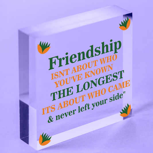 FRIENDSHIP Keepsake Plaque Hanging Sign Gift For Best Friend Birthday Christmas Free-Standing Block