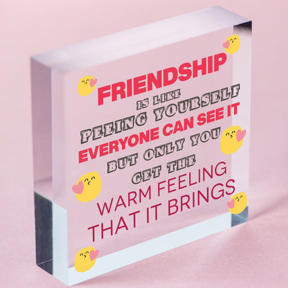 Novelty Best Friend Sign Friendship Funny Rude Gift Novelty Birthday Plaque Free-Standing Block