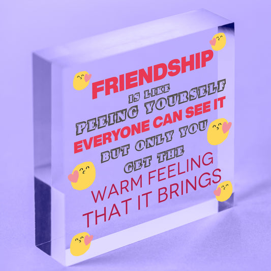 Novelty Best Friend Sign Friendship Funny Rude Gift Novelty Birthday Plaque Free-Standing Block