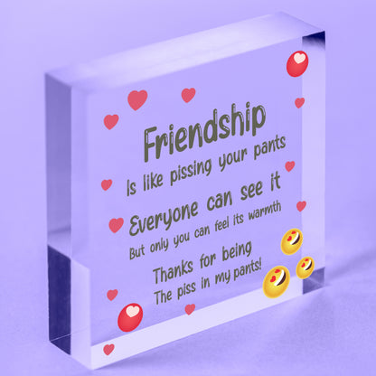 Friendship Gift Funny Rude Birthday Gift For Best Friend Thank You Wooden Heart Free-Standing Block