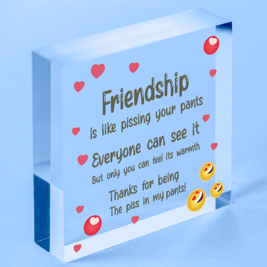 Friendship Gift Funny Rude Birthday Gift For Best Friend Thank You Wooden Heart Free-Standing Block