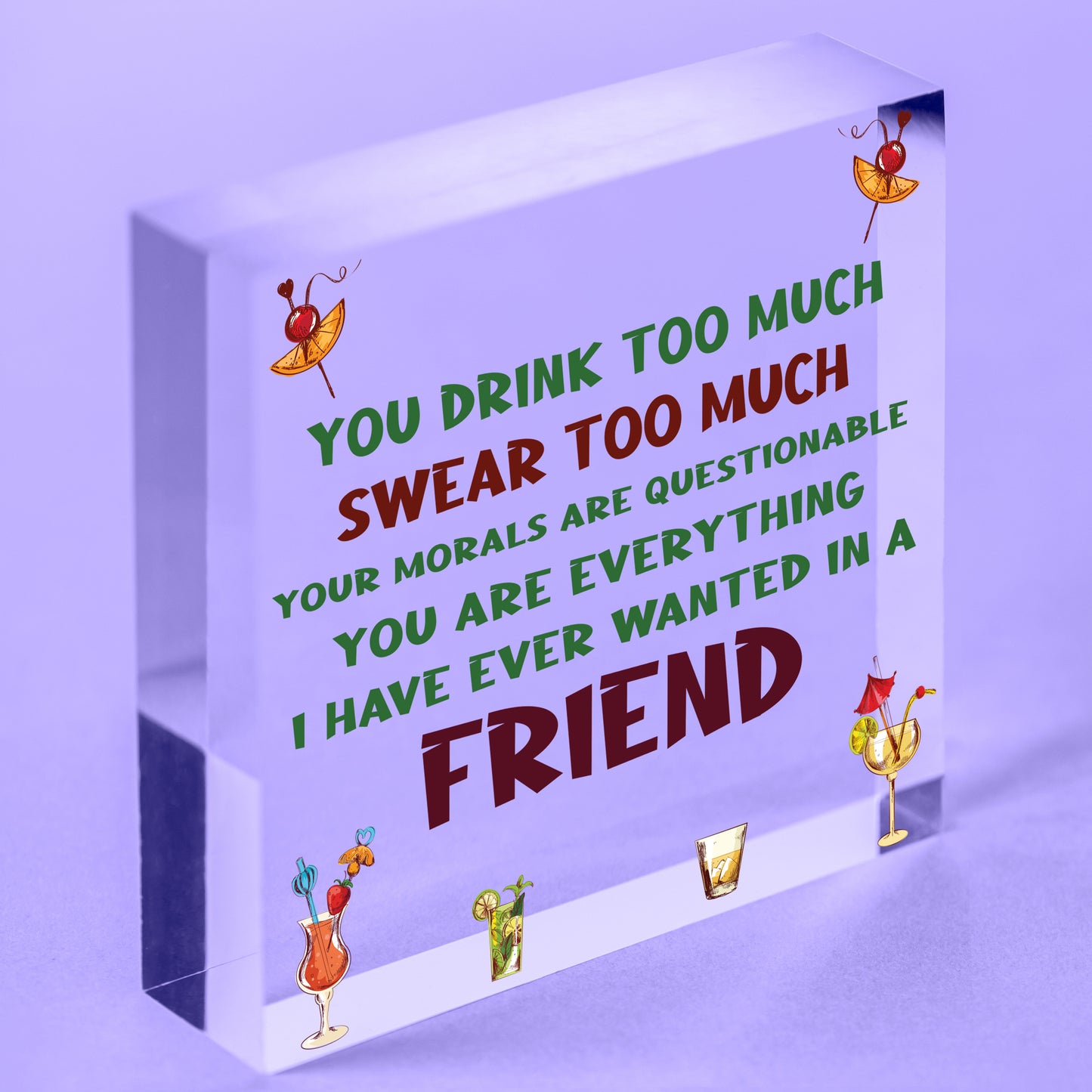 Funny Best Friend Friendship Sign Drink Too Much Alcohol Gin Vodka Birthday Gift Free-Standing Block