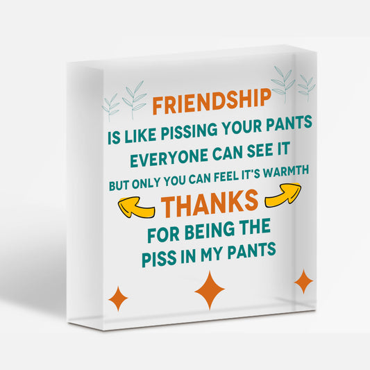 Friendship Plaque Acrylic Heart Best Friend Gift For Birthday Christmas Funny Free-Standing Block