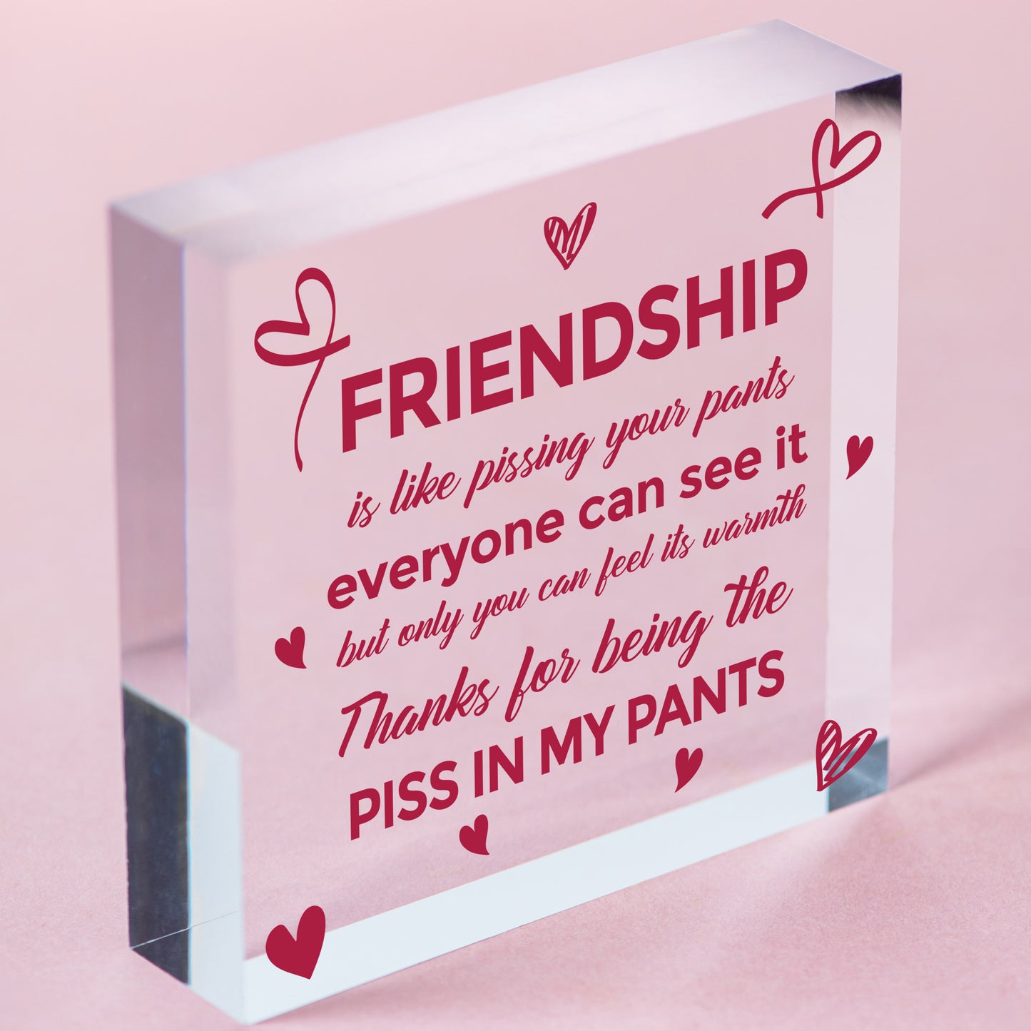 Funny Friendship Gift Best Friend Hanging Sign Novelty Birthday Christmas Gifts Free-Standing Block