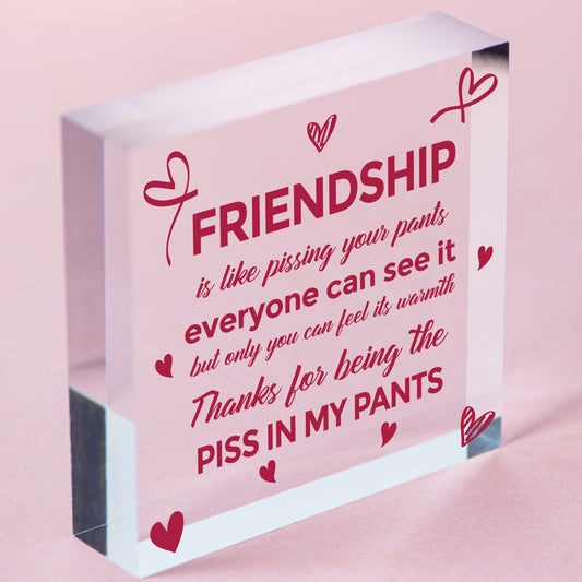 Funny Friendship Gift Best Friend Hanging Sign Novelty Birthday Christmas Gifts Free-Standing Block