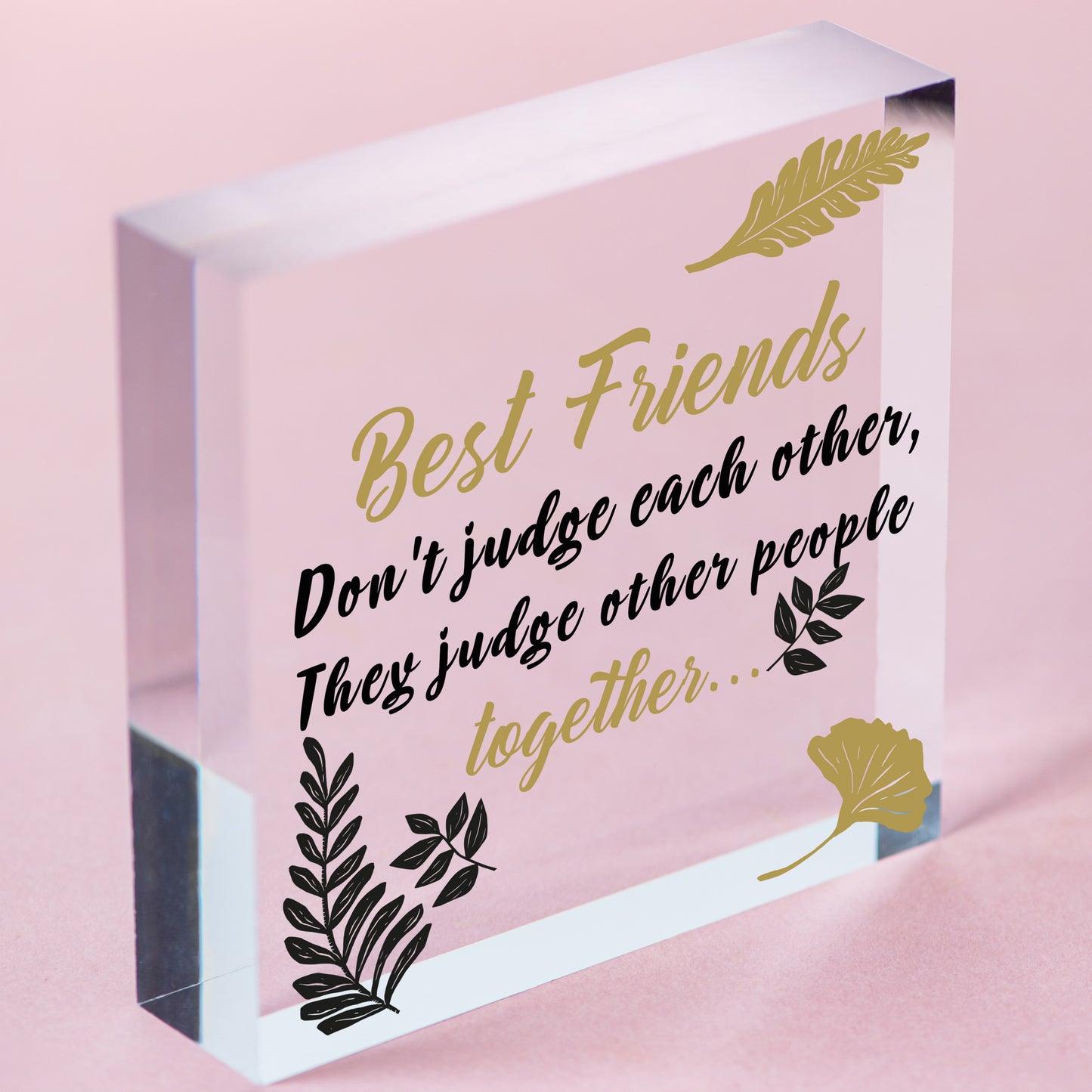 Best Friends Judge Others Friendship Love Gift Hanging Plaque Funny Friend Sign Free-Standing Block