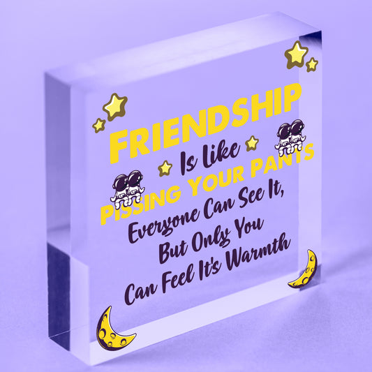 Friendship Pants Best Friend Gift Thank You Funny Hanging Plaque Present Sign Free-Standing Block