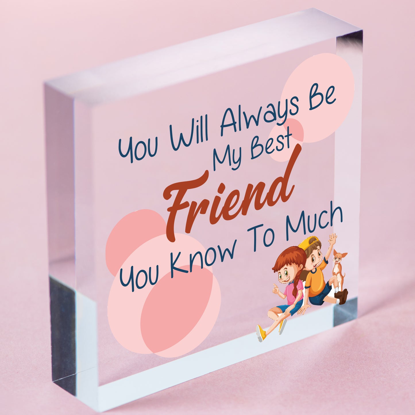 Best Friend You Know Too Much Novelty Wooden Hanging Plaque Friendship Sign Gift Free-Standing Block