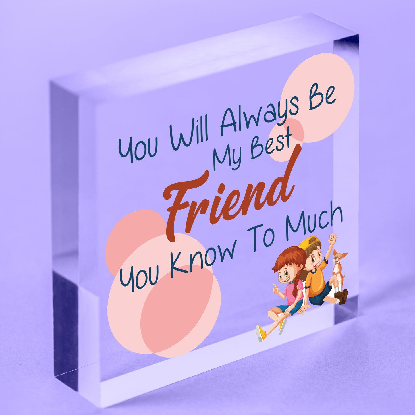 Best Friend You Know Too Much Novelty Wooden Hanging Plaque Friendship Sign Gift Free-Standing Block