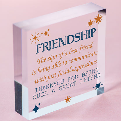 Friendship Best Friends Face THANK YOU Friend Plaque Wooden Hanging Sign Gift Free-Standing Block