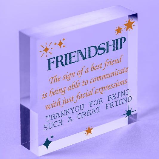 Friendship Best Friends Face THANK YOU Friend Plaque Wooden Hanging Sign Gift Free-Standing Block