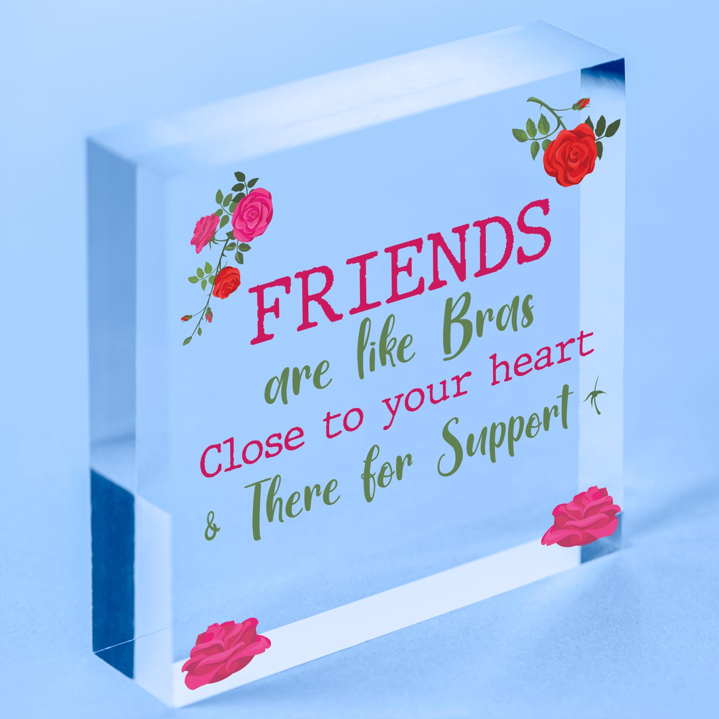 Funny Friends Are Like Bras Novelty Best Friend Sign Birthday Gifts THANK YOU Free-Standing Block