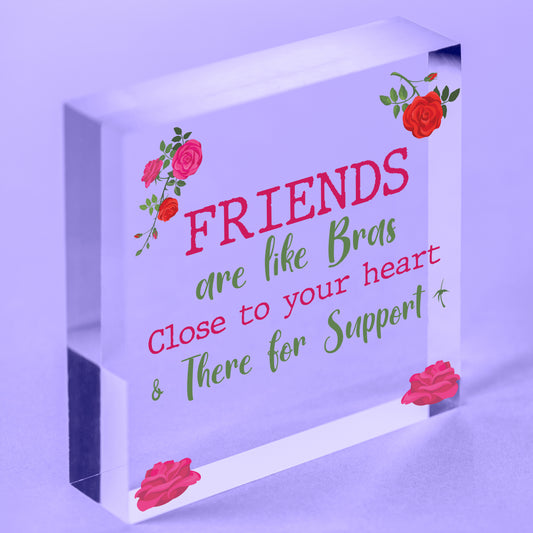 Funny Friends Are Like Bras Novelty Best Friend Sign Birthday Gifts THANK YOU Free-Standing Block