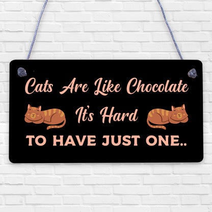 Cats Are Like Chocolate Funny Pet Diet Gift Wood Hanging Plaque Friendship Sign