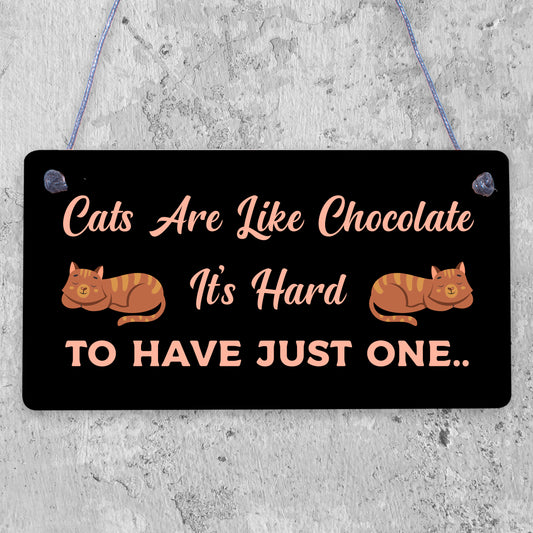 Cats Are Like Chocolate Funny Pet Diet Gift Wood Hanging Plaque Friendship Sign