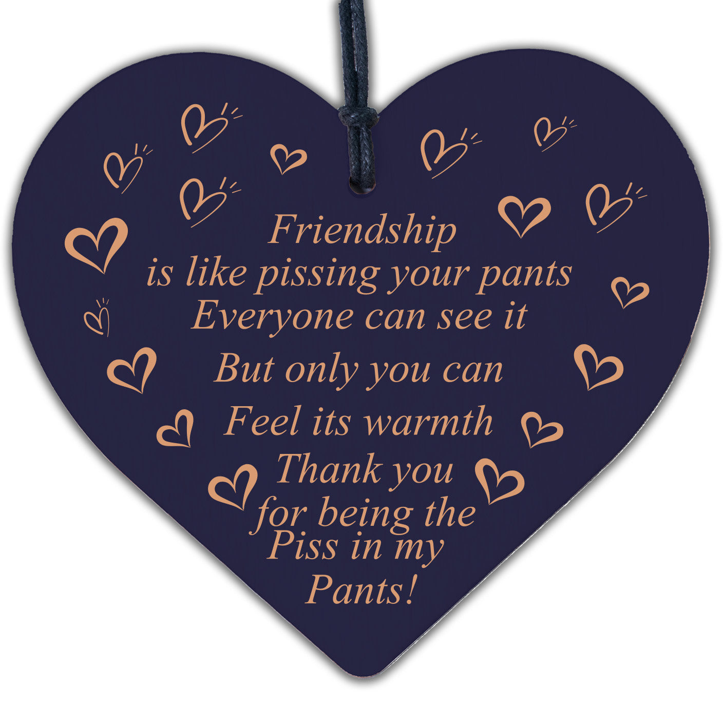 Funny Best Friend Sign Wood Heart Friendship Gift Thank You Birthday Xmas Plaque