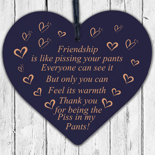 Funny Best Friend Sign Wood Heart Friendship Gift Thank You Birthday Xmas Plaque