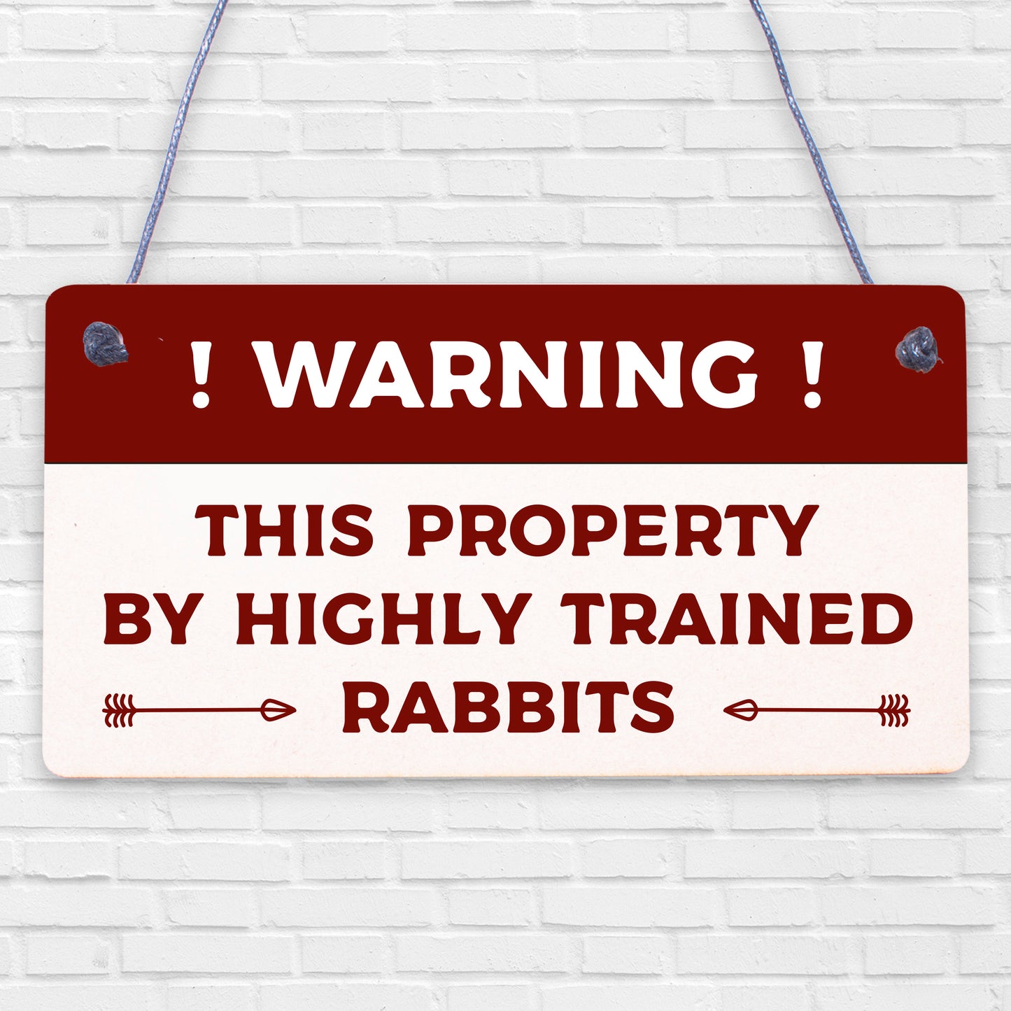 Beware Of The Rabbit Sign Bunny Rabbit Door Sign Hanging Plaques Funny Pet Gifts