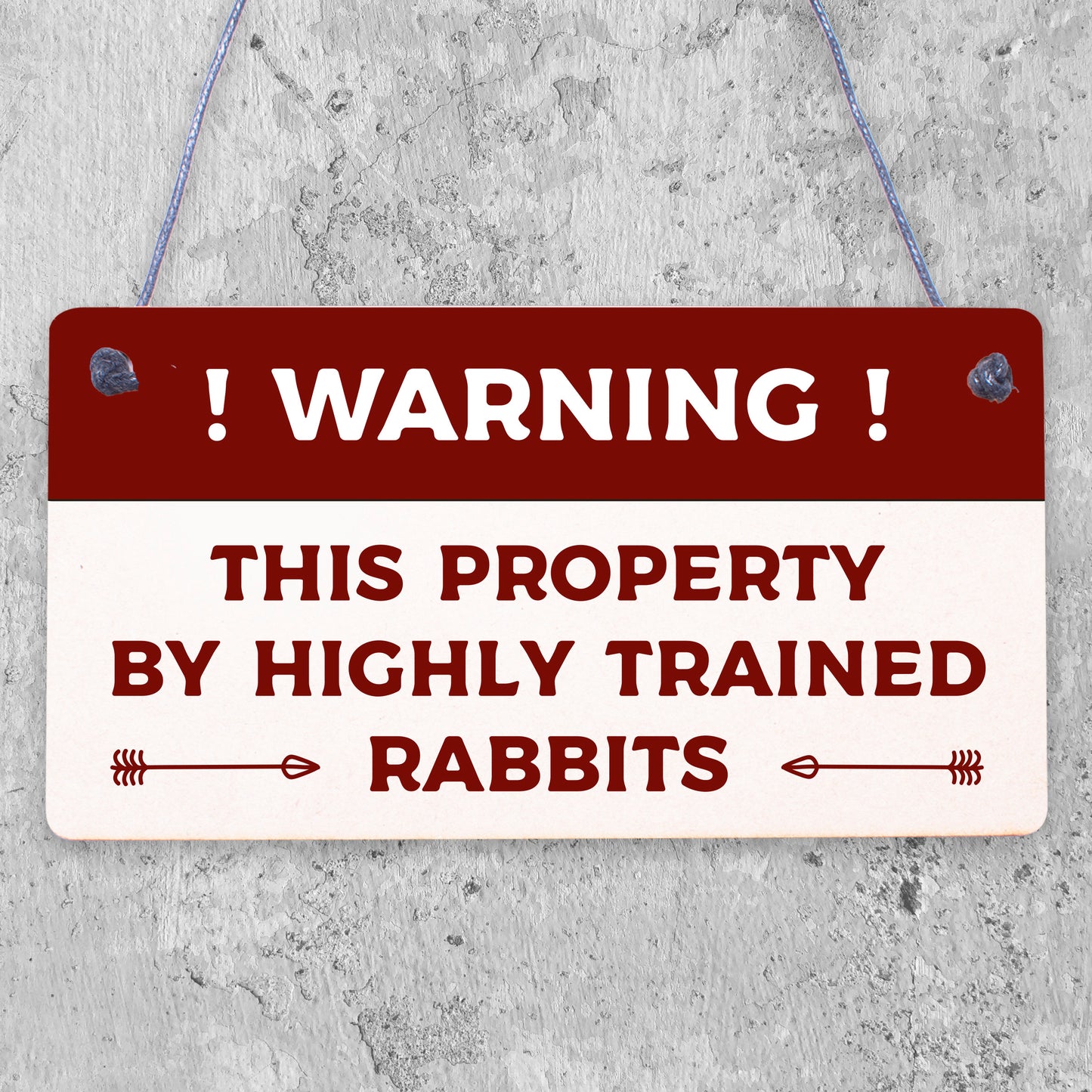 Beware Of The Rabbit Sign Bunny Rabbit Door Sign Hanging Plaques Funny Pet Gifts