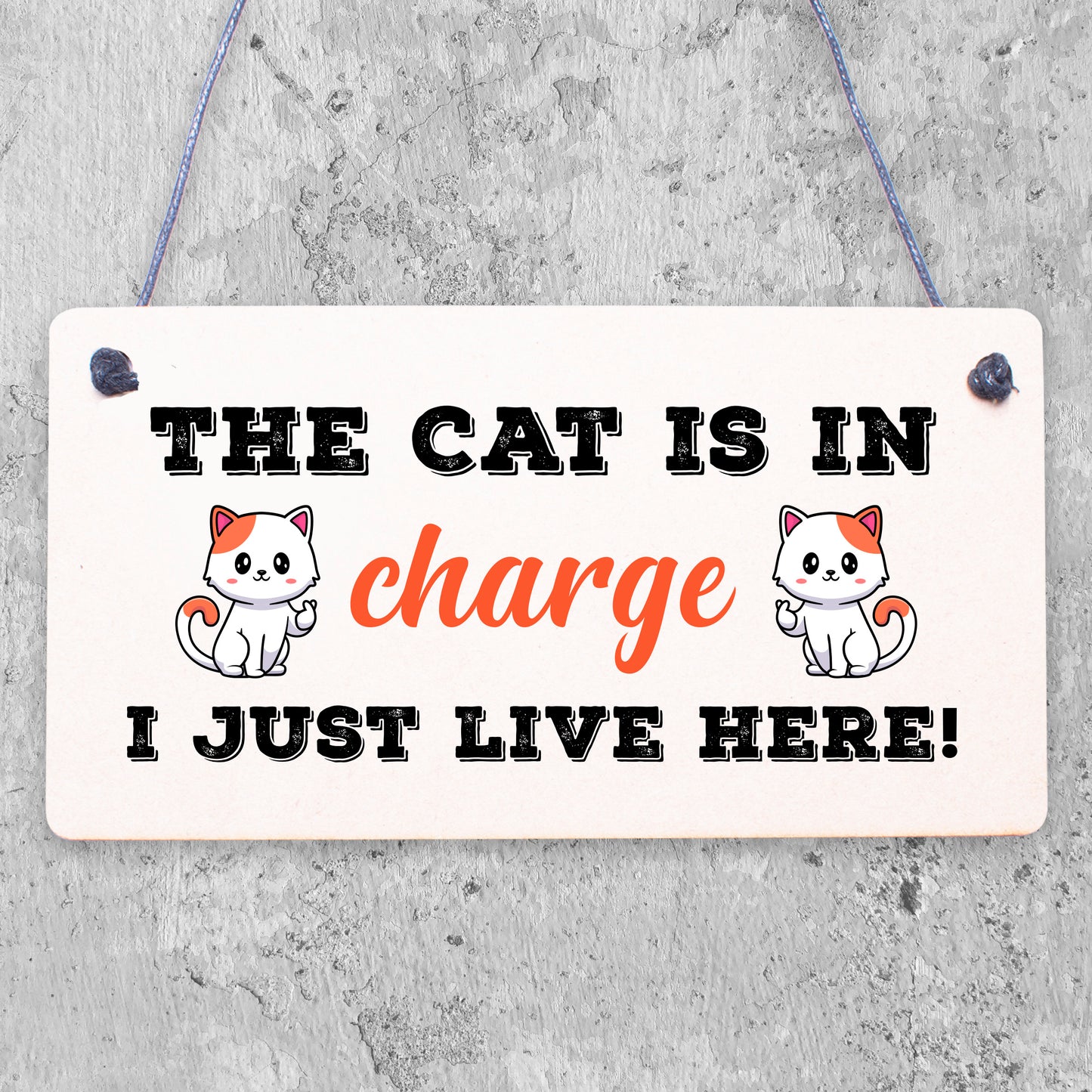 Cat Sign Funny Cat Gift For Cat Lovers Hanging Wood Sign For Home Animal Sign