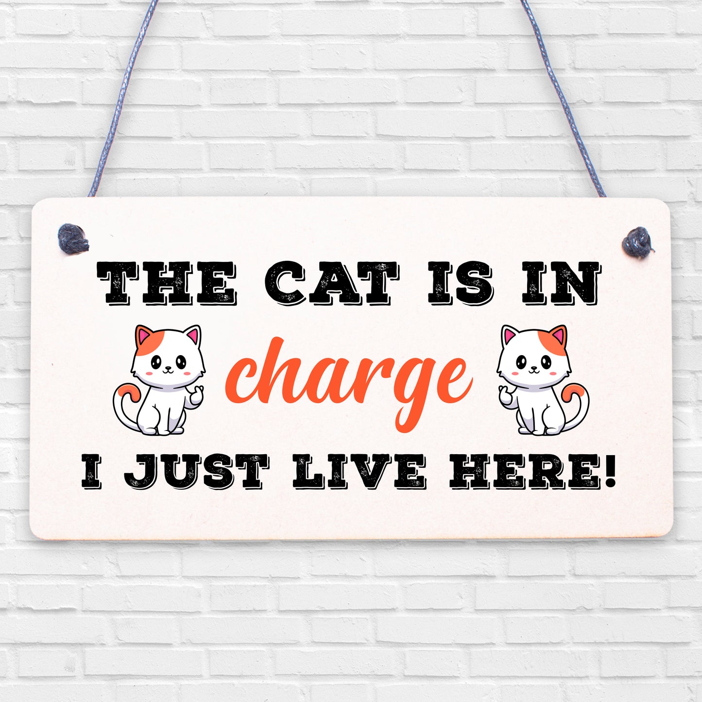 Cat Sign Funny Cat Gift For Cat Lovers Hanging Wood Sign For Home Animal Sign