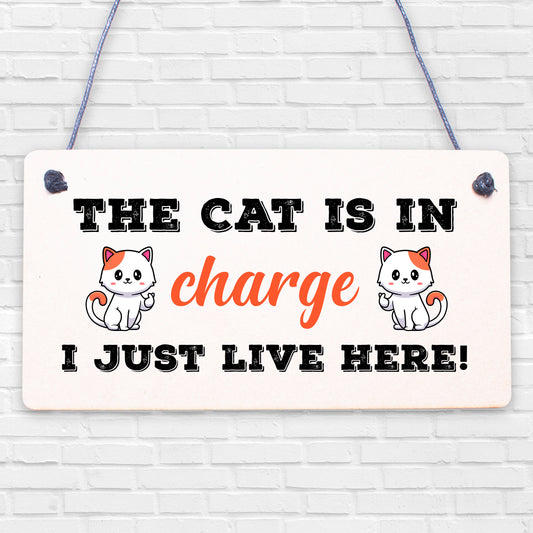 Cat Sign Funny Cat Gift For Cat Lovers Hanging Wood Sign For Home Animal Sign