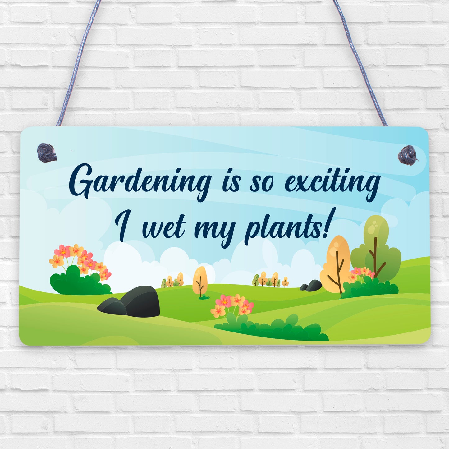 Funny Garden Plaque Novelty Summer House Garden Shed Sign Decor Gift For Her