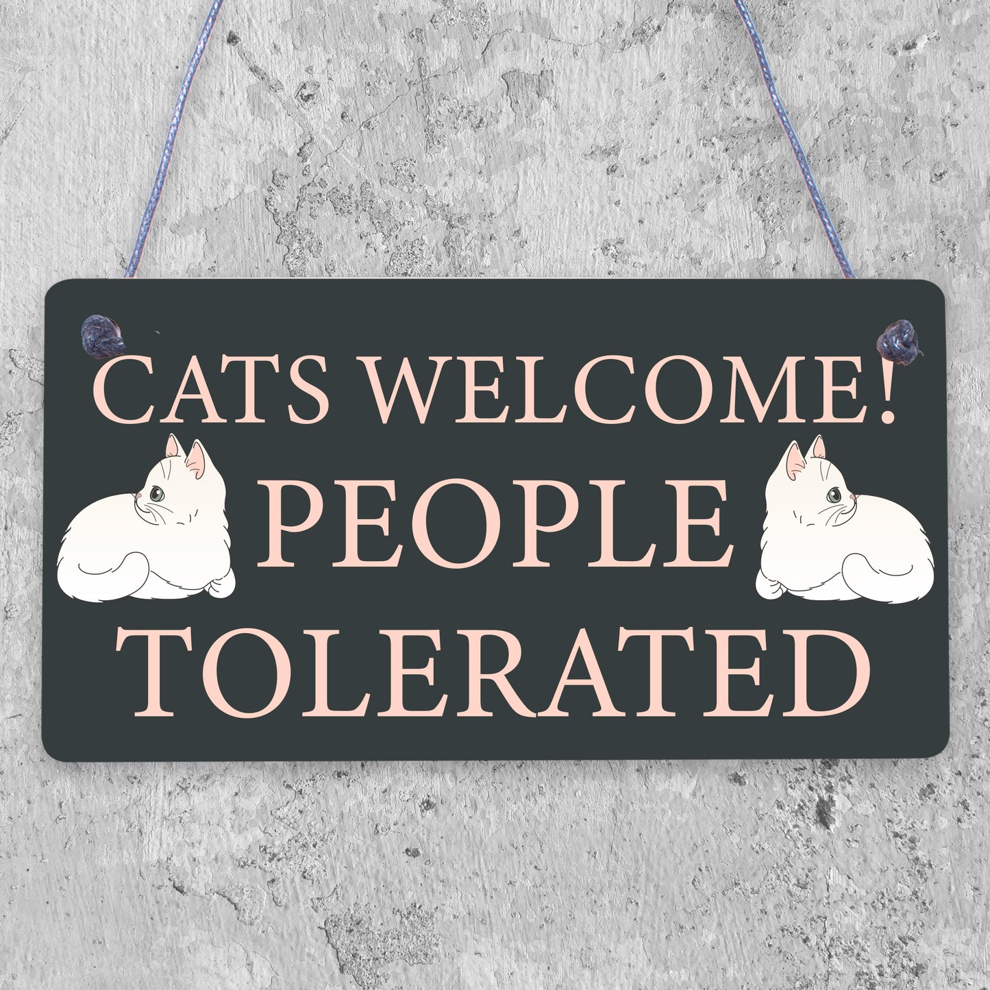 Funny Cat Gift Welcome Sign For Cat Lovers Women Home Decor Animal Pet Gift