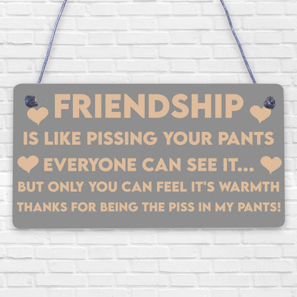 Best Friendship Gift Plaque For Special Friend Gifts For Women Engraved Ornament