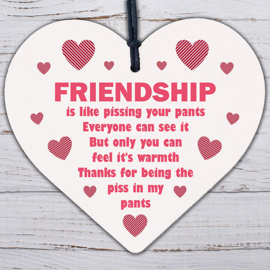 Funny Friendship Plaque Best Friend Gift Engraved Heart Thank You Birthday Xmas