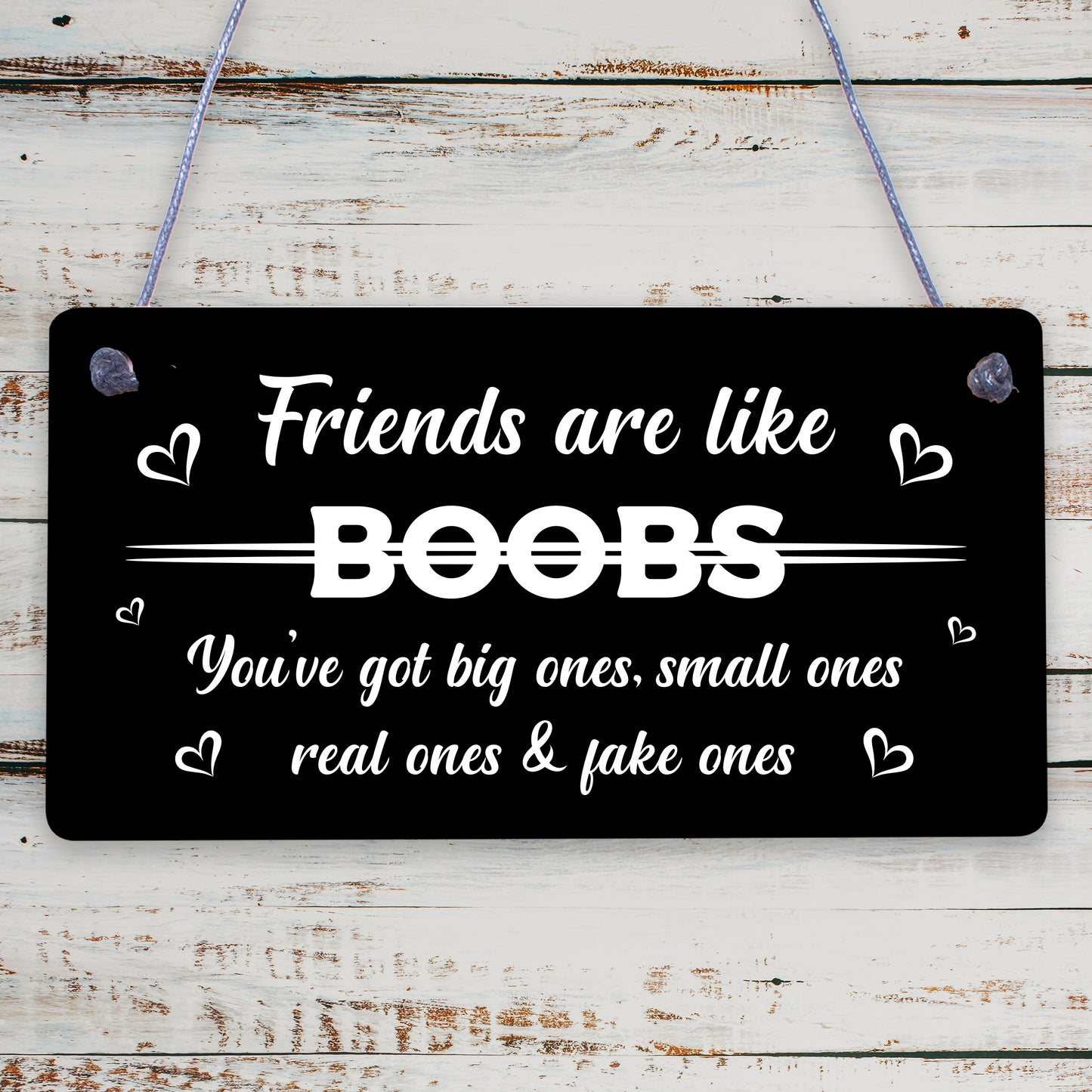 Funny Friends Are Like Boobs Novelty Best Friend Sign Birthday Gifts For Her