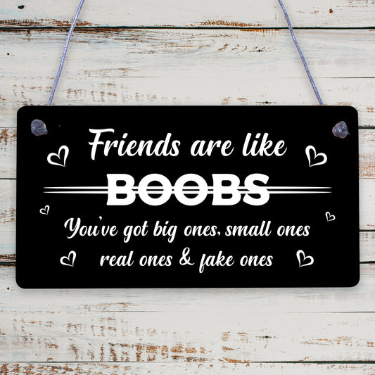 Funny Friends Are Like Boobs Novelty Best Friend Sign Birthday Gifts For Her