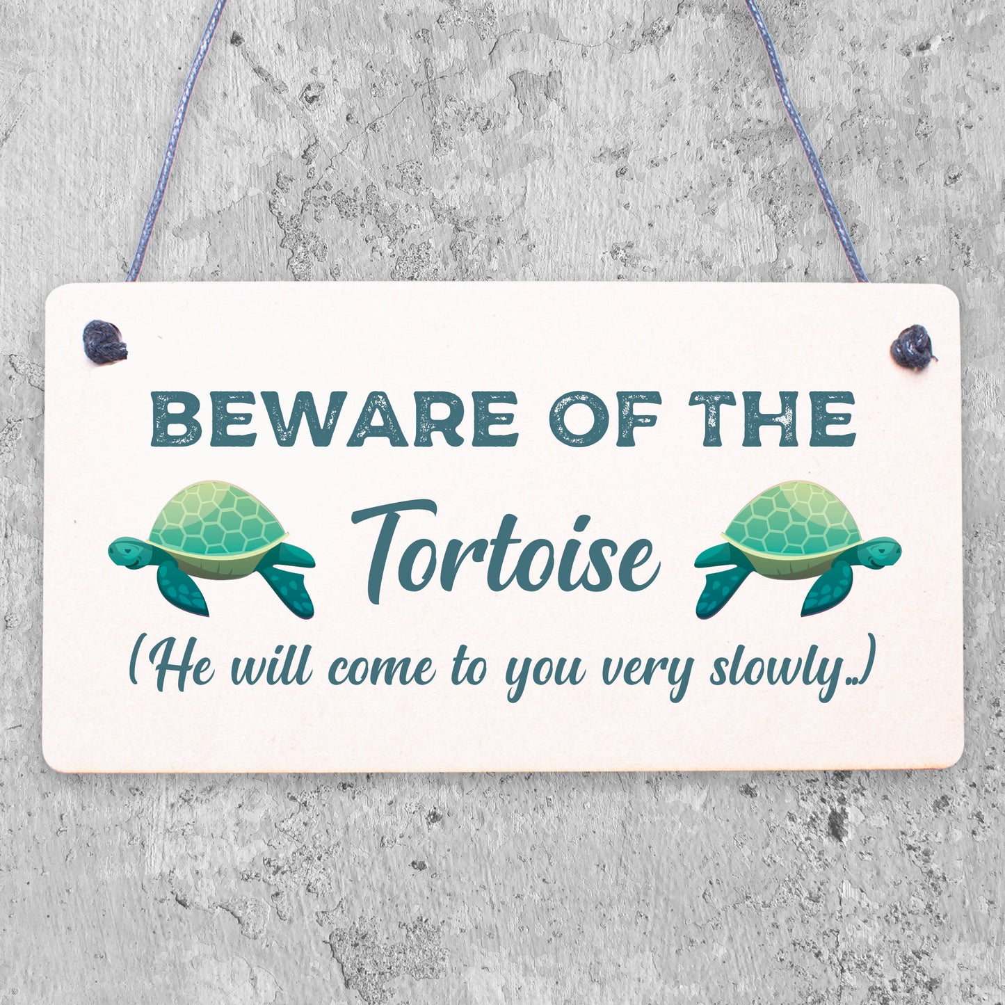 Beware Of The Tortoise Sign Hanging Wall Plaque Funny Pet Gift Turtle Sign Gift